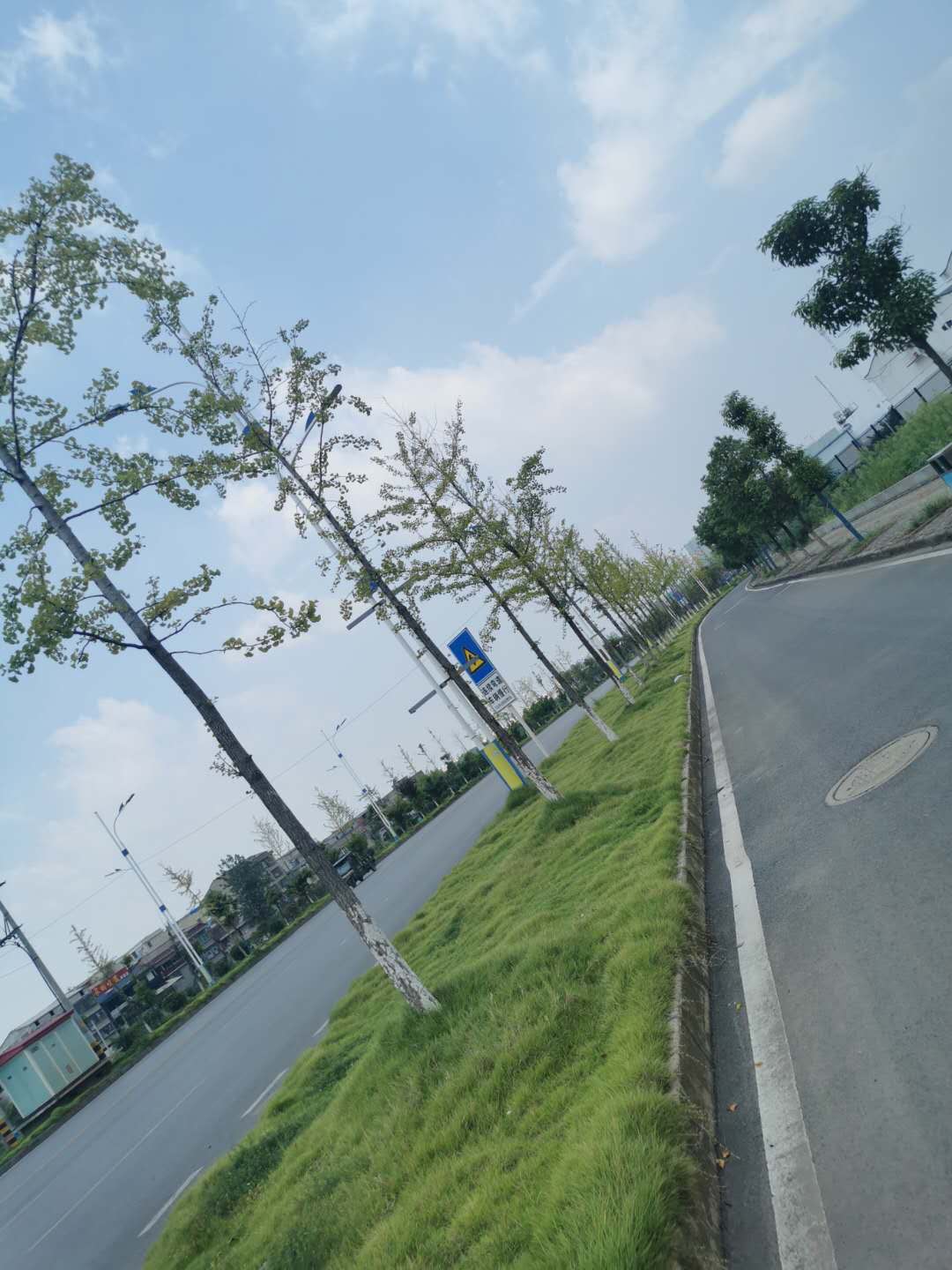 羅家橋綠化-01 羅家橋綠化-01
